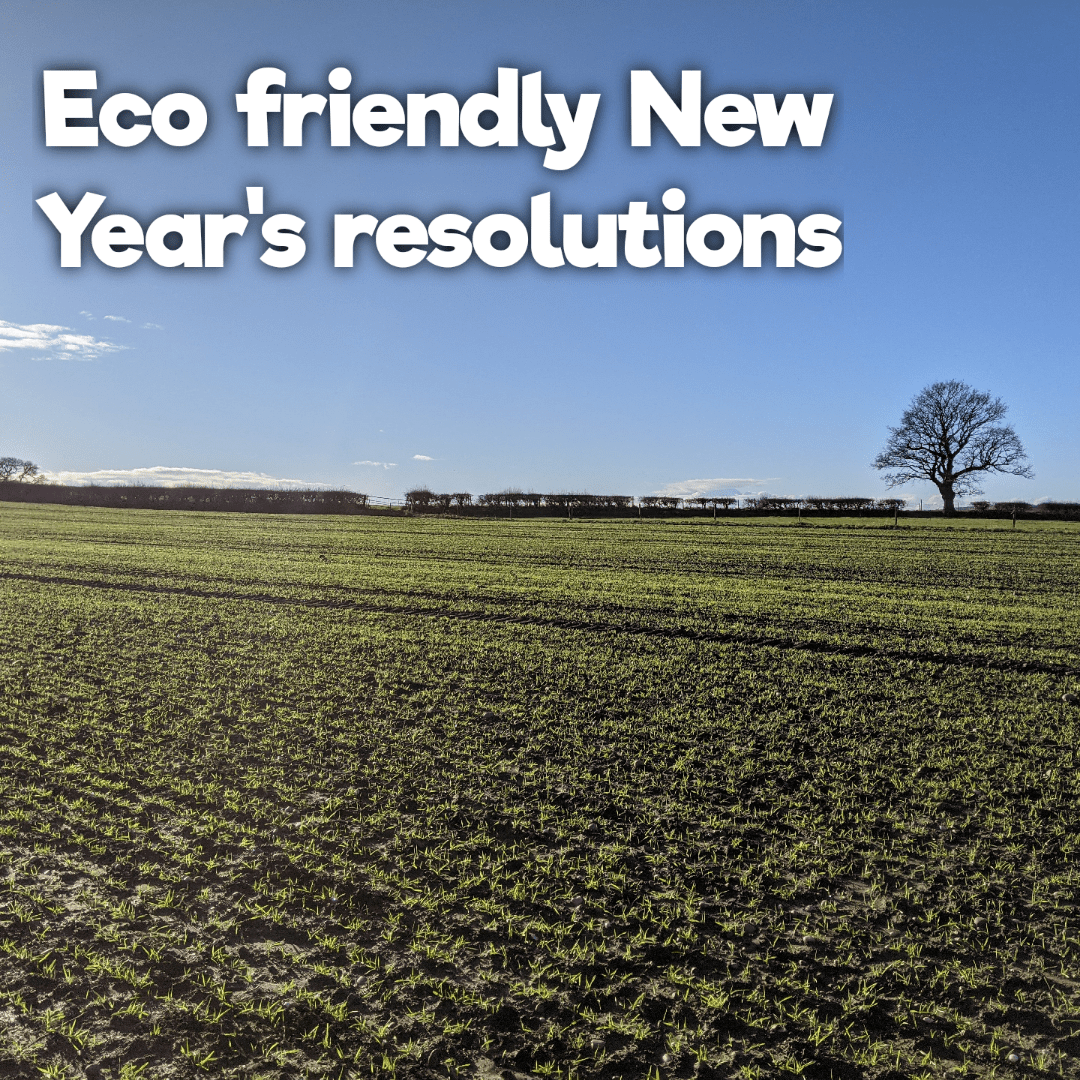 10 eco-friendly New Year’s resolutions for 2021 - Composty