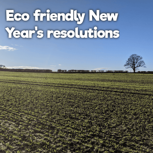 10 eco-friendly New Year’s resolutions for 2021 - Composty