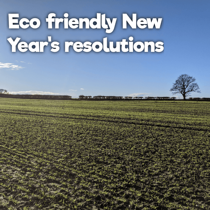 10 eco-friendly New Year’s resolutions for 2021
