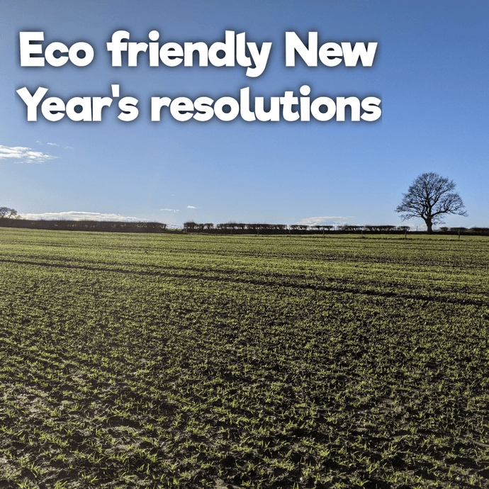 10 eco-friendly New Year’s resolutions for 2021