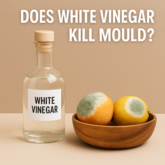 Does white vinegar kill mould