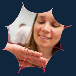 Why you should welcome spiders in your home (Backed by Science)