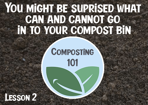Composting 101: what to put in your compost bin (and what to avoid) - Composty