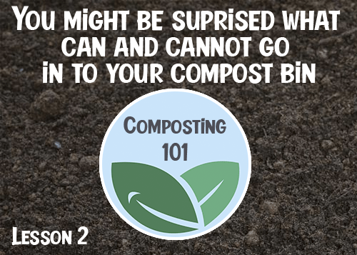 Composting 101: what to put in your compost bin (and what to avoid)