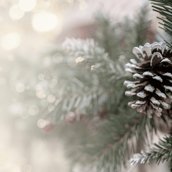 How to have an indulgent yet sustainable Christmas