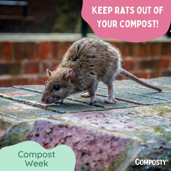 Keep Your Compost Bin Critter-Free: A Friendly Guide to Outsmarting Rats and Mice