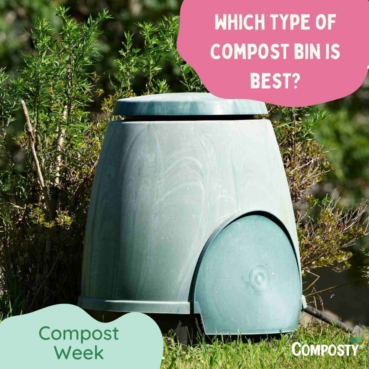 Which Type of Compost Bin Is Best for You? Composty