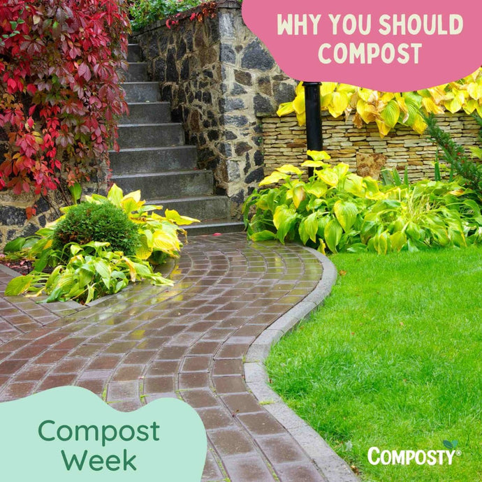 Why Composting is the Best Thing You Can Do for Your Garden, Wallet, and the Planet