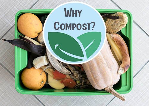 Why we should all start composting right now