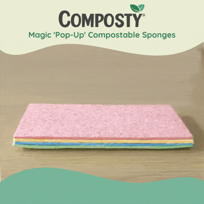 Try-Me Bundle: The Better Sponge Family