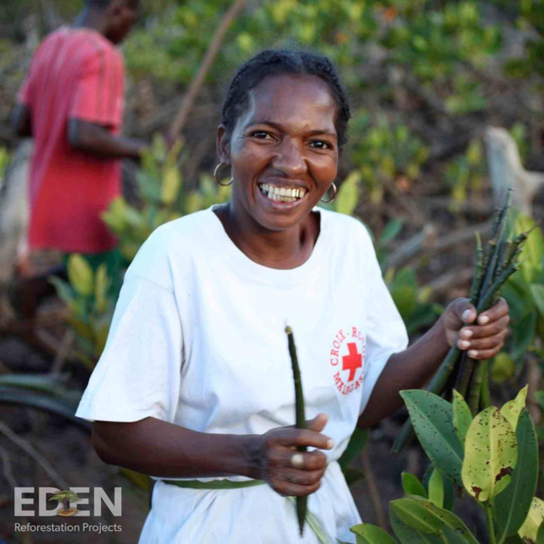 Planting Trees in Madagascar
