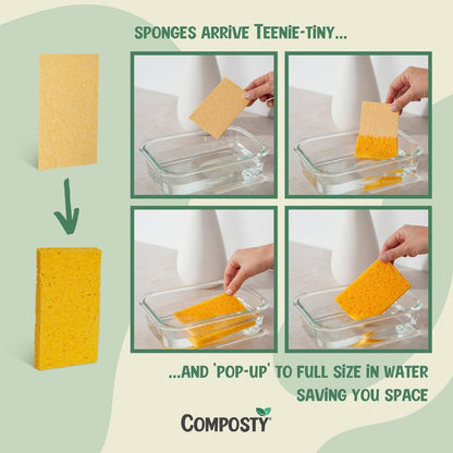 Composty® | JUMBO 'Pop-Up' Sponges | 3 Multipack - Composty
